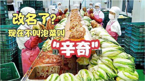 雨軒齋清真食品 堅守“辛奇”品質，踐行HACCP最高衛(wèi)生標準