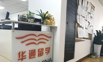 綿陽華通留學 通往美國名校的專業(yè)橋梁與全面信息指南